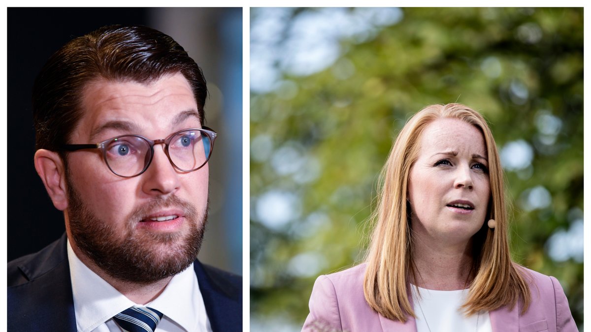 Annie Lööf (C) vill ändra svensk grundlag – för att skydda mot Jimmie Åkesson (SD) och Sverigedemokraterna.